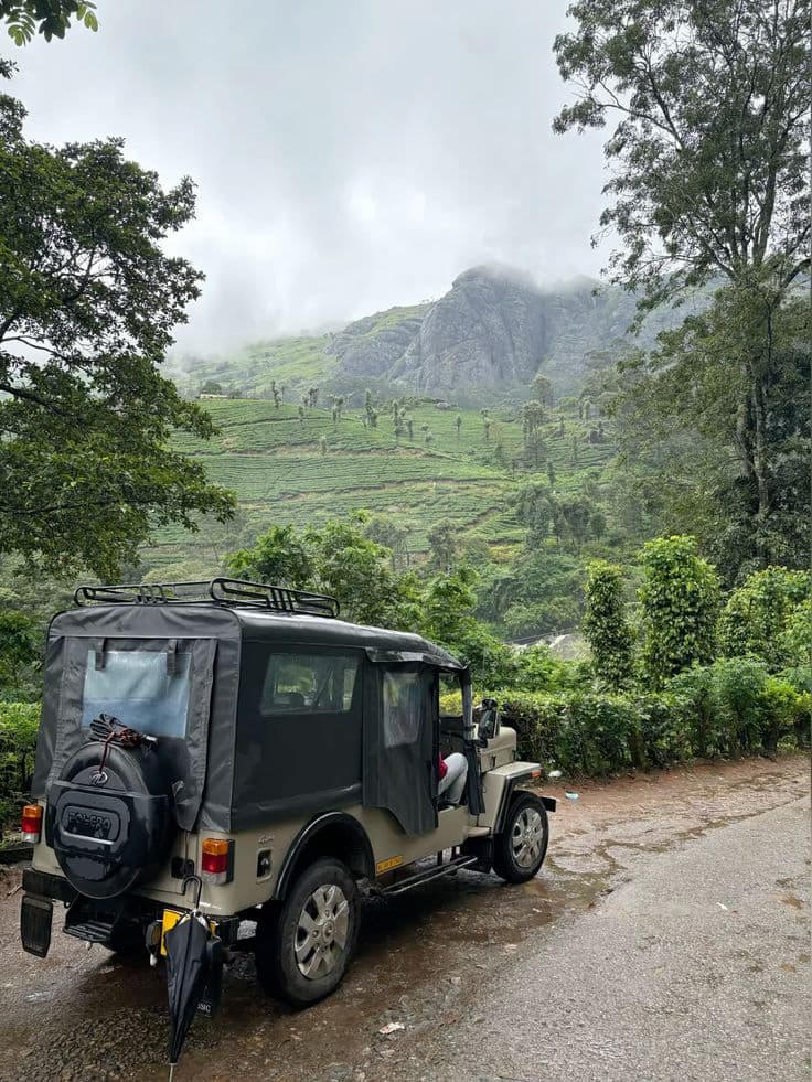 Jeep Safari experience